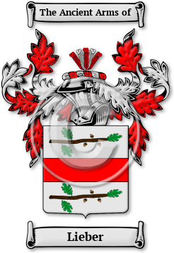 Lieber Family Crest Download (jpg) Legacy Series - 150 DPI