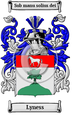 Lyness Family Crest/Coat of Arms