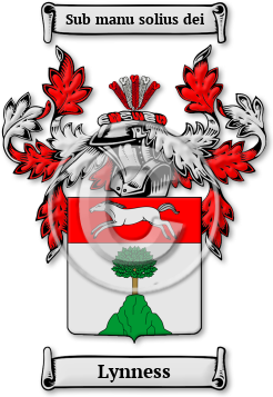 Lynness Family Crest Download (jpg) Legacy Series - 150 DPI