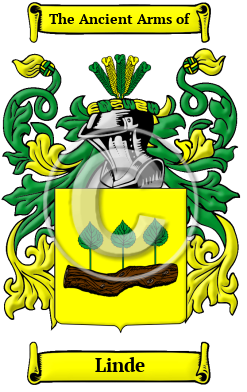 Linde Family Crest/Coat of Arms