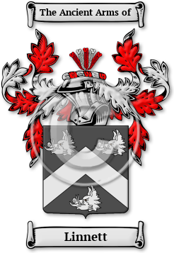 Linnett Family Crest Download (jpg) Legacy Series - 150 DPI