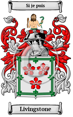 Livingstone Family Crest/Coat of Arms