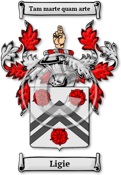 Ligie Family Crest Download (jpg) Legacy Series - 150 DPI