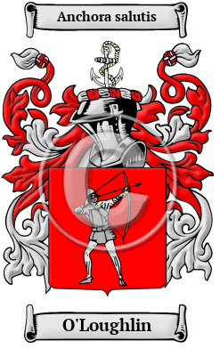 O'Loughlin Family Crest/Coat of Arms