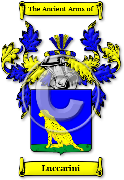 Luccarini Family Crest Download (jpg) Legacy Series - 150 DPI