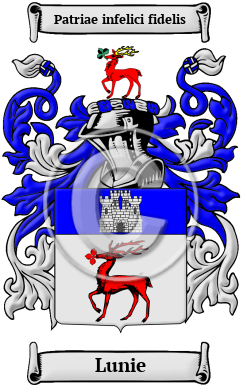 Lunie Family Crest Download (JPG) Heritage Series - 600 DPI