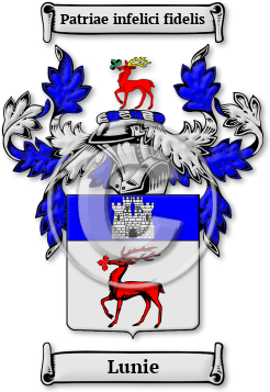 Lunie Family Crest Download (jpg) Legacy Series - 150 DPI