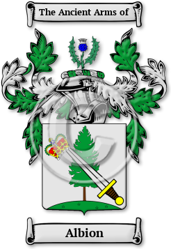 Albion Family Crest Download (JPG) Legacy Series - 300 DPI