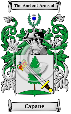 Capane Family Crest/Coat of Arms