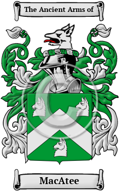 MacAtee Family Crest/Coat of Arms