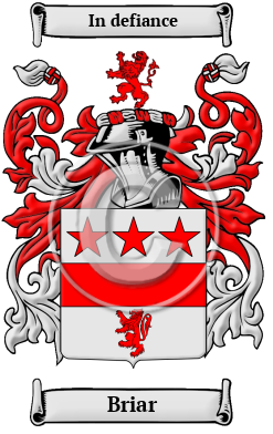 Briar Family Crest/Coat of Arms