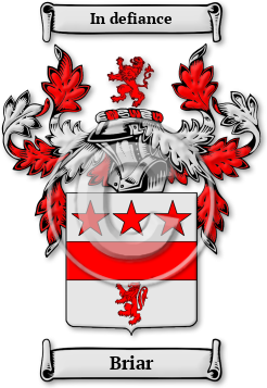 Briar Family Crest Download (jpg) Legacy Series - 150 DPI