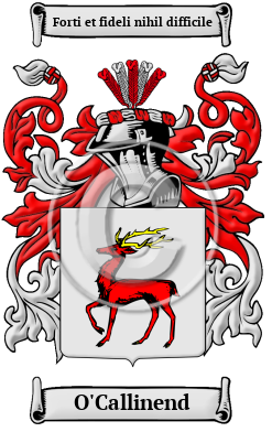 O'Callinend Family Crest/Coat of Arms