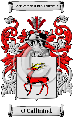 O'Callinind Family Crest/Coat of Arms