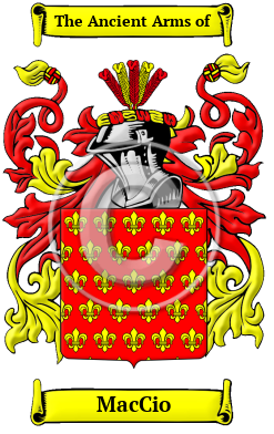 MacCio Family Crest/Coat of Arms