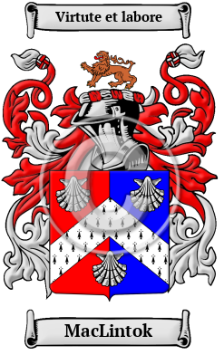 MacLintok Family Crest/Coat of Arms