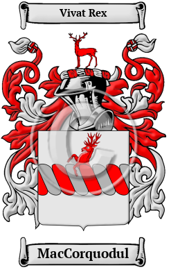 MacCorquodul Family Crest/Coat of Arms