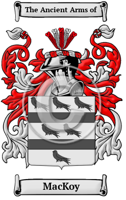 MacKoy Family Crest/Coat of Arms