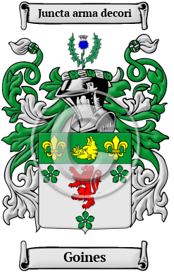 Goines Family Crest/Coat of Arms