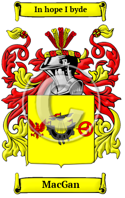 MacGan Family Crest/Coat of Arms