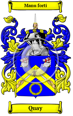 Quay Family Crest/Coat of Arms
