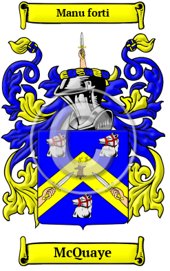 McQuaye Family Crest/Coat of Arms