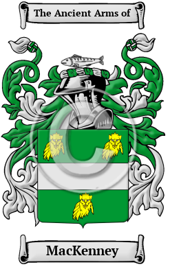 MacKenney Family Crest/Coat of Arms