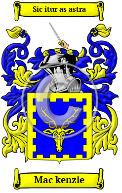 Mac kenzie Family Crest/Coat of Arms