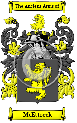 McEttreck Family Crest/Coat of Arms