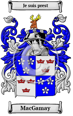 MacGamay Family Crest/Coat of Arms