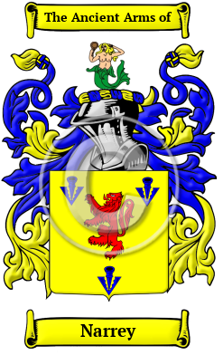 Narrey Family Crest Download (JPG) Heritage Series - 600 DPI