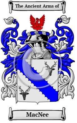 MacNee Family Crest/Coat of Arms