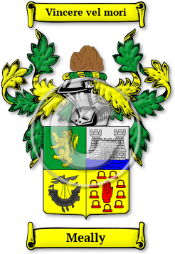 Meally Family Crest Download (jpg) Legacy Series - 150 DPI