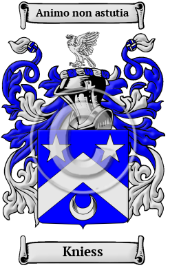Kniess Family Crest/Coat of Arms