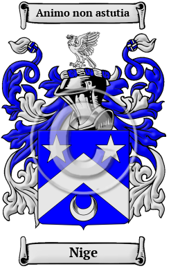 Nige Family Crest Download (JPG) Heritage Series - 600 DPI