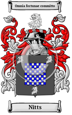 Nitts Family Crest/Coat of Arms
