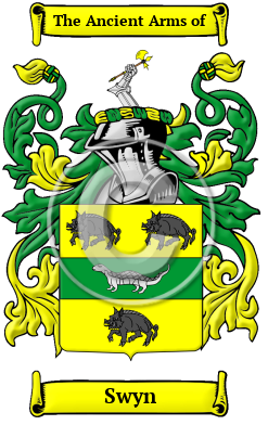 Swyn Family Crest/Coat of Arms