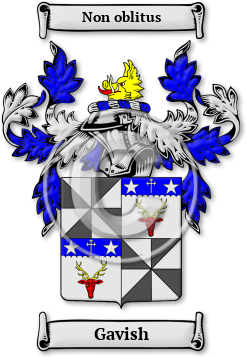 Gavish Family Crest Download (jpg) Legacy Series - 150 DPI