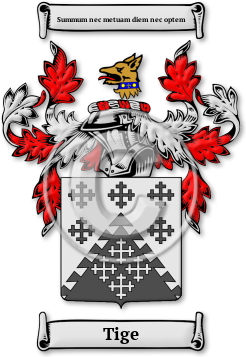 Tige Family Crest Download (jpg) Legacy Series - 150 DPI