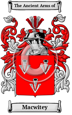 Macwitey Family Crest/Coat of Arms