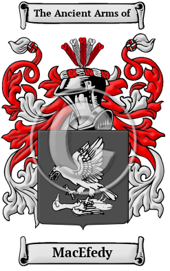 MacEfedy Family Crest/Coat of Arms