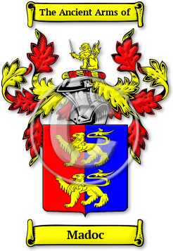 Madoc Family Crest Download (jpg) Legacy Series - 150 DPI
