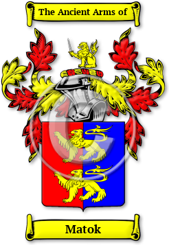 Matok Family Crest Download (JPG) Legacy Series - 600 DPI