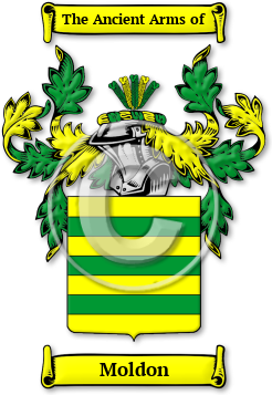 Moldon Family Crest Download (jpg) Legacy Series - 150 DPI
