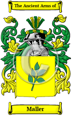Maller Family Crest Download (JPG) Heritage Series - 600 DPI