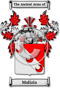 Malizia Family Crest Download (JPG) Legacy Series - 600 DPI