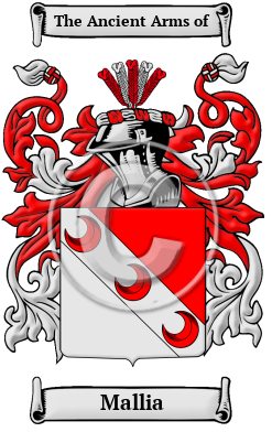 Mallia Family Crest/Coat of Arms