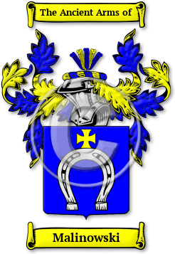 Malinowski Family Crest Download (jpg) Legacy Series - 150 DPI