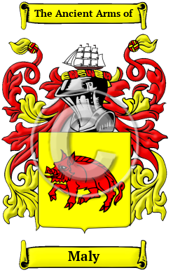 Maly Family Crest/Coat of Arms