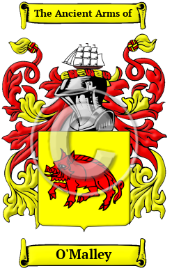 O'Malley Family Crest/Coat of Arms